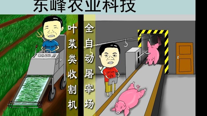 专家深度解读：主裁的判断力，不应被VAR带离赛场