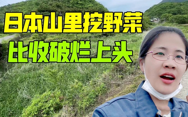 聊聊董哥的“舔日本”：深度与肤浅的巨大差异